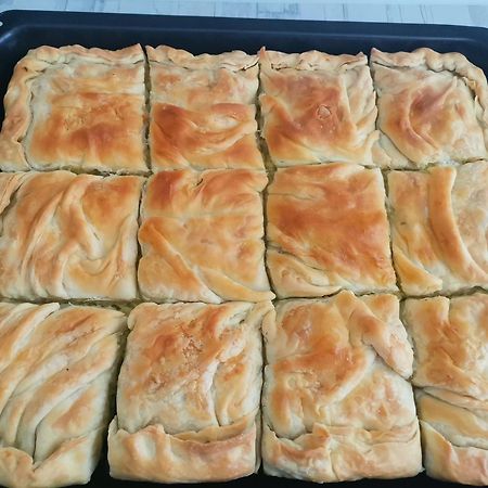 Peštani Guesthouse Zimovski מראה חיצוני תמונה
