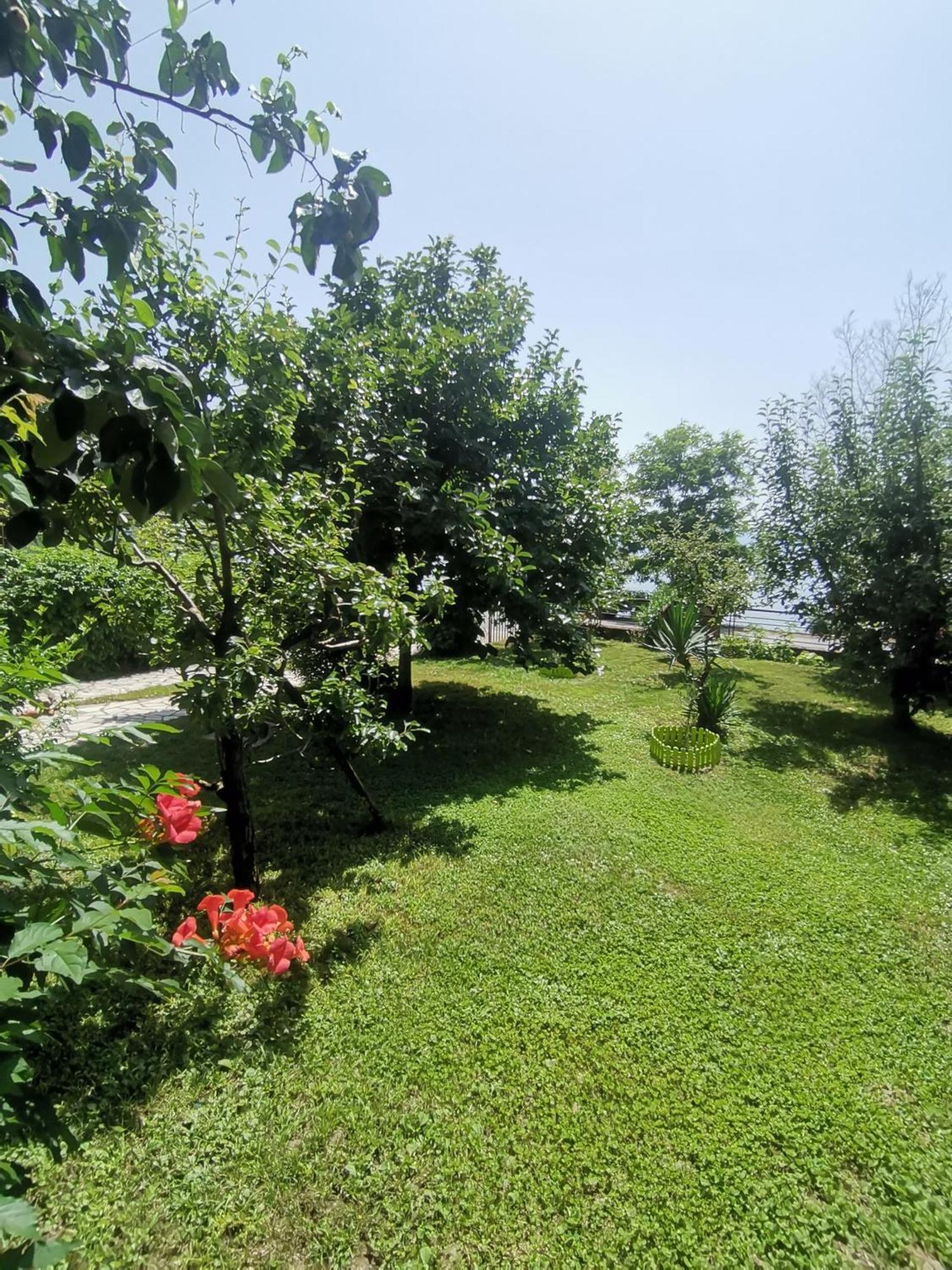 Peštani Guesthouse Zimovski מראה חיצוני תמונה