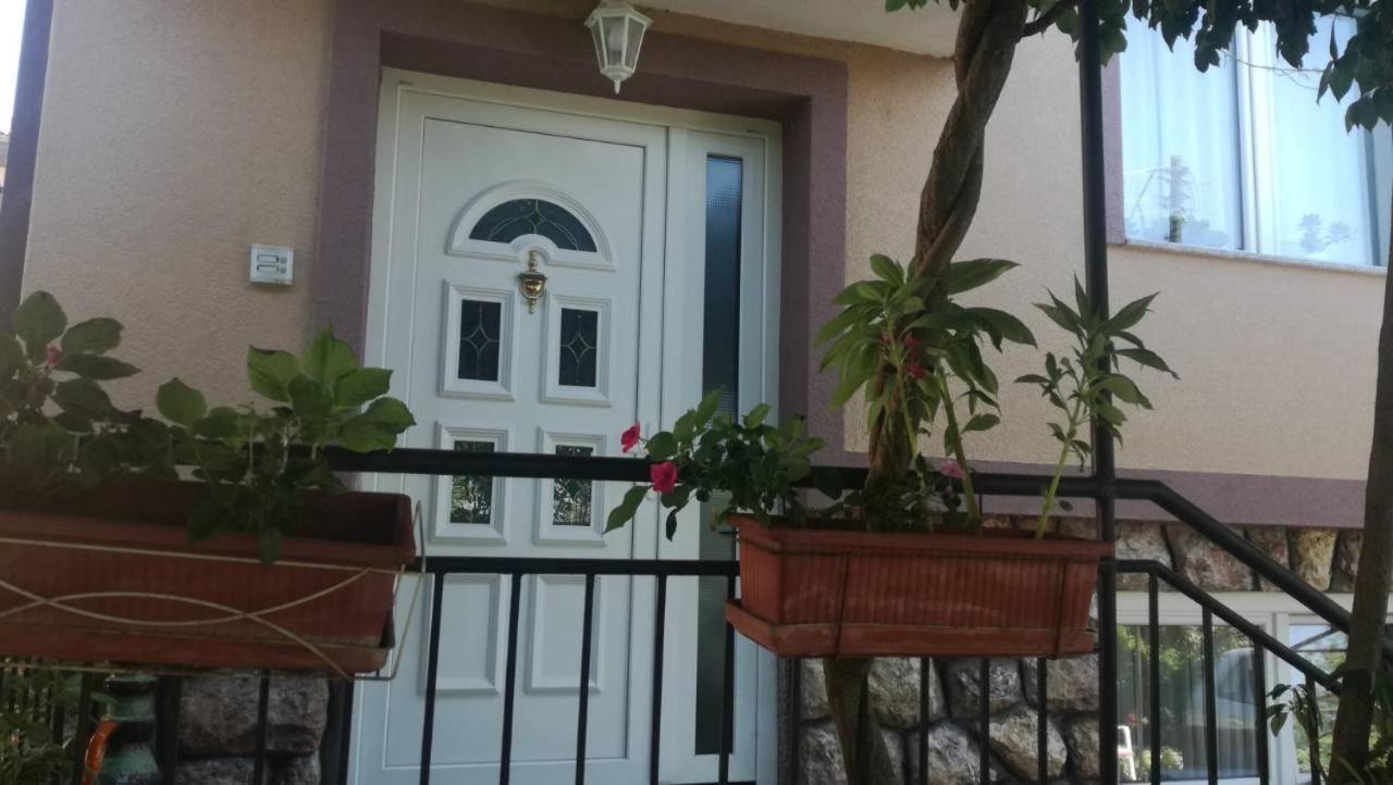 Peštani Guesthouse Zimovski מראה חיצוני תמונה