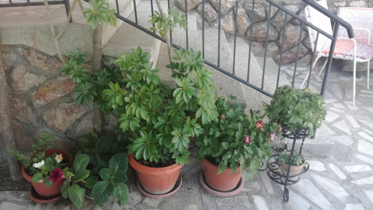 Peštani Guesthouse Zimovski מראה חיצוני תמונה