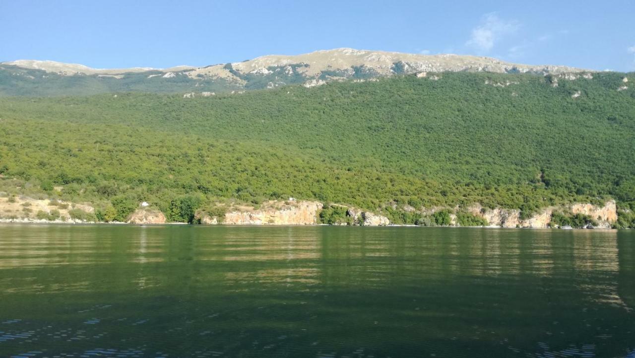 Peštani Guesthouse Zimovski מראה חיצוני תמונה